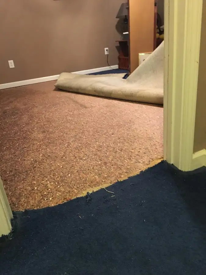 Carpet pad removal revealing water damage during Water Mitigation Services in Indian Trail
